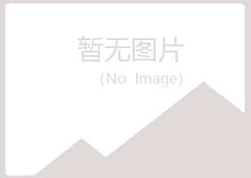 盐池县残缺司法有限公司